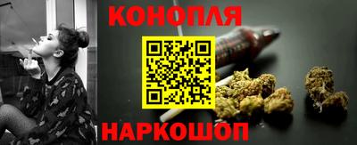 сатива Новодвинск