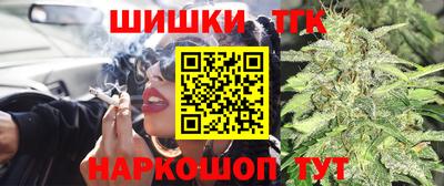сатива Новодвинск