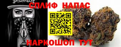 сатива Новодвинск