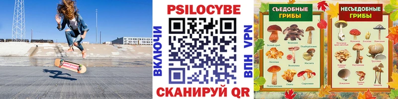 купить  цена  гидра как зайти  Псилоцибиновые грибы прущие грибы  Пятигорск 