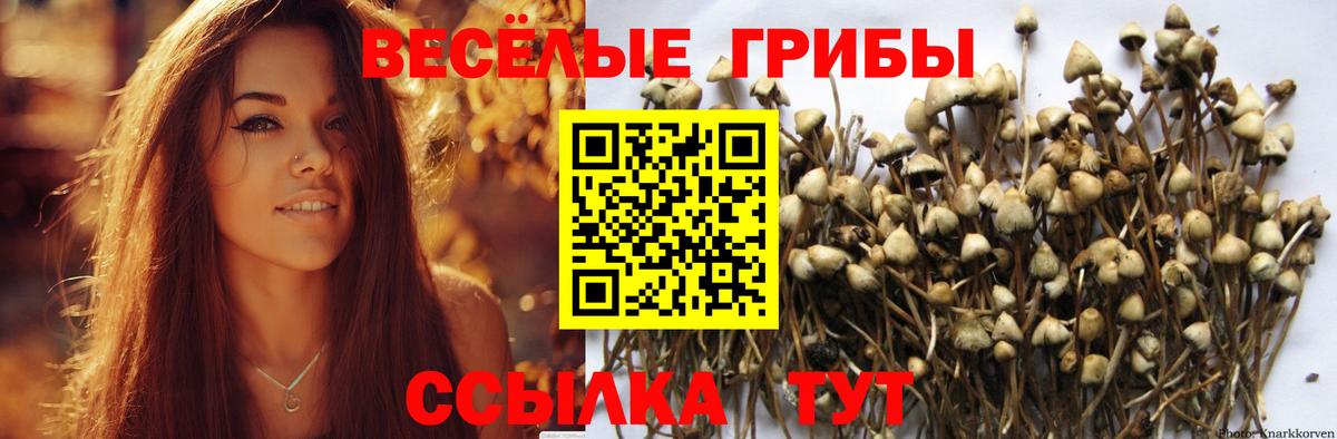 Псилоцибиновые грибы мухоморы  Галлюциногенные грибы мухоморы  Пятигорск  Вход с VPN 