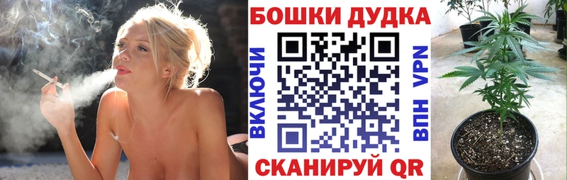 kraken ССЫЛКА  Пятигорск  Каннабис ГИДРОПОН 